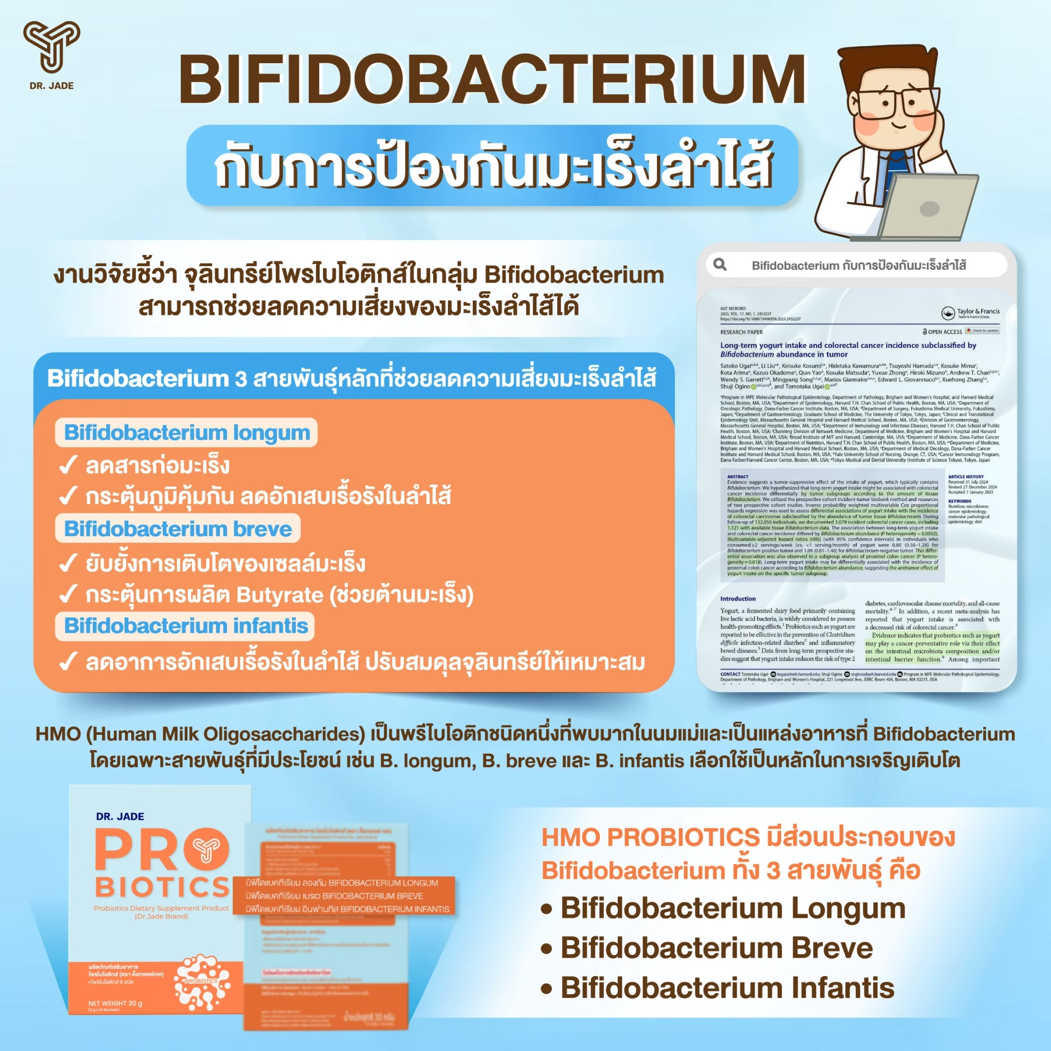 งานวิจัย Bifidobacterium + มะเร็งลำไส้